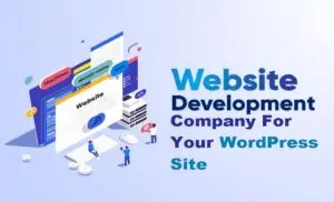 website development company