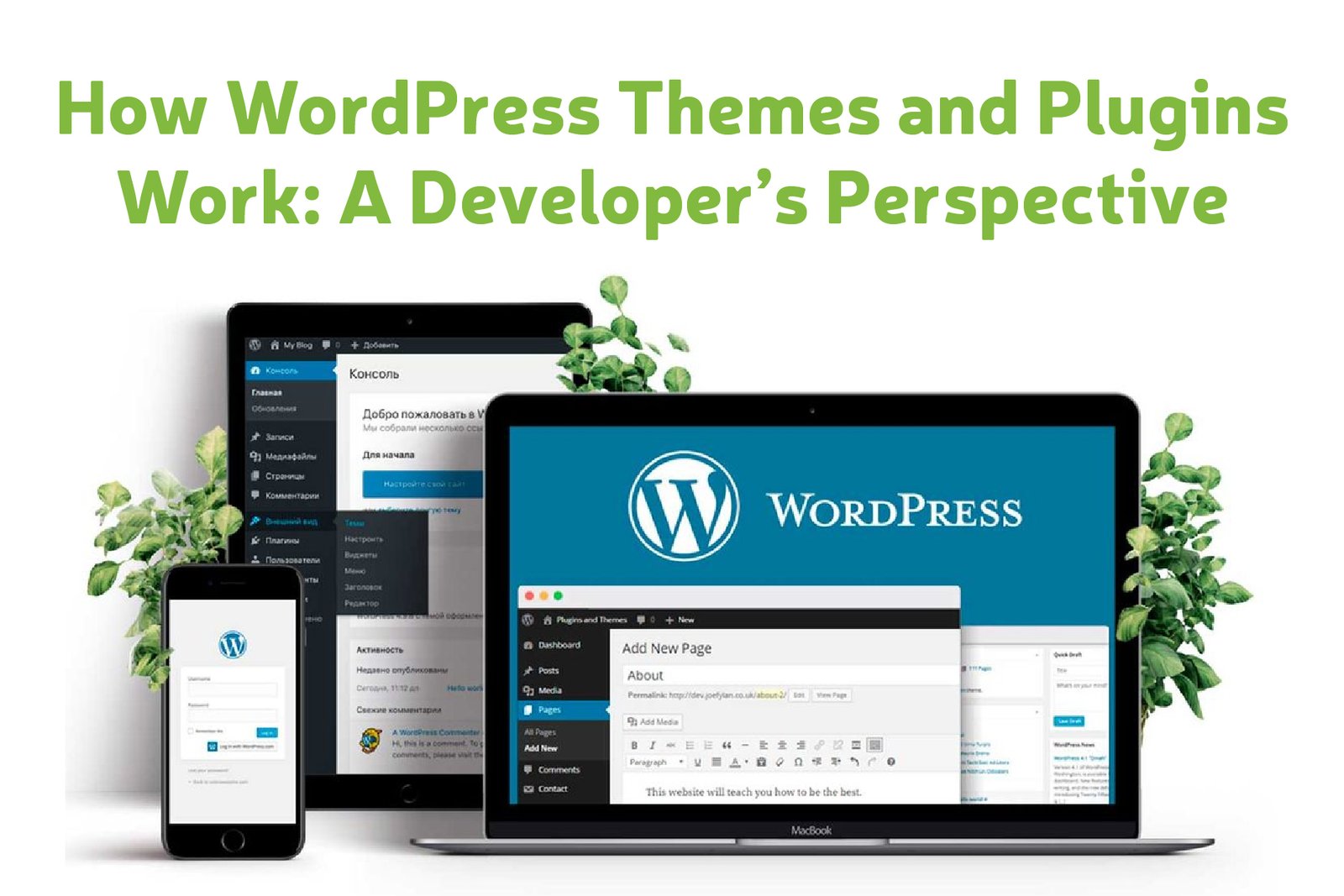 WordPress themes and plugins