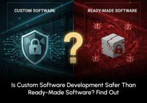 custom software development