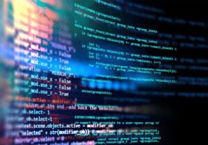 wordpress developer